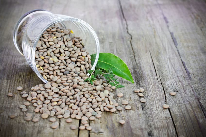 1 cucharada de maíz o azúcar o lentejas. 
<br>1 un plato extendido cafetero.
<br>