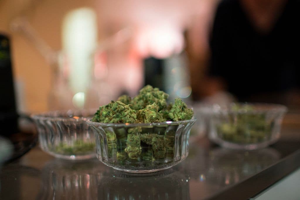 La ley le otorga a cualquier individuo el derecho a cultivar hasta seis plantas para consumo personal en su vivienda. Además, permite que los mayores de 21 años puedan llevar consigo hasta una onza (28.5 gramos) de cannabis.