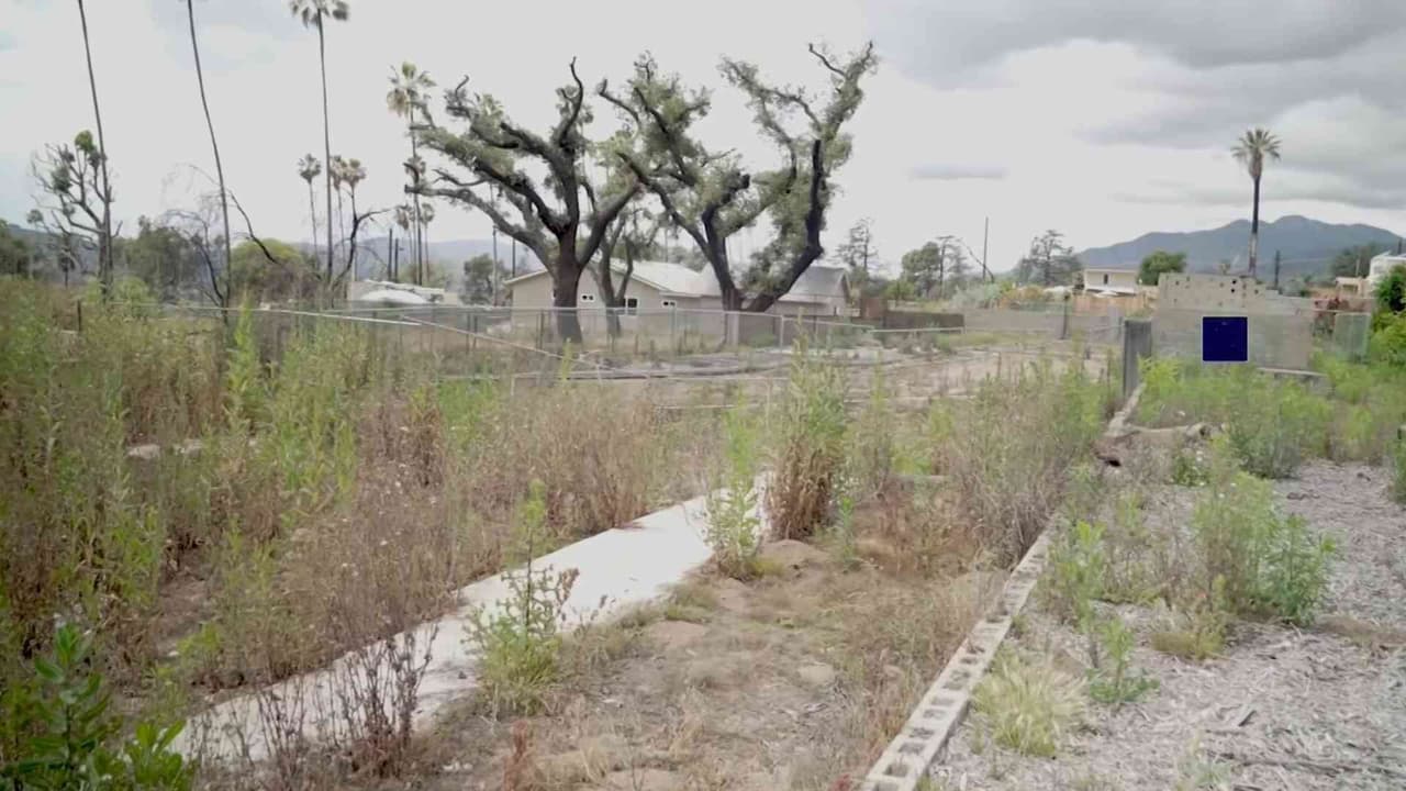 Víctimas del incendio en Altadena denuncian demoras y pagos incompletos de seguros