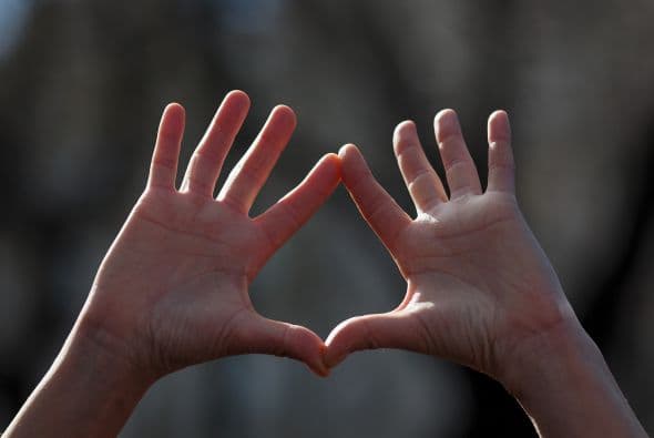 El gobierno socialista anterior legalizó ampliamente el aborto antes de las 14 semanas de embarazo.