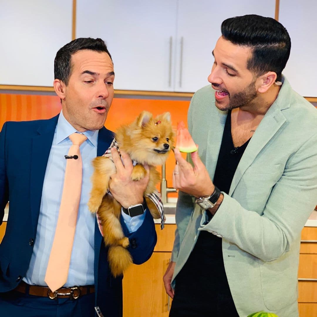 Carlos y Yisus estuvieron a nada de darle comida prohibida a Bombom solo para mimarla. Mira su expresión cuando estaban cerca de hacer una travesura.