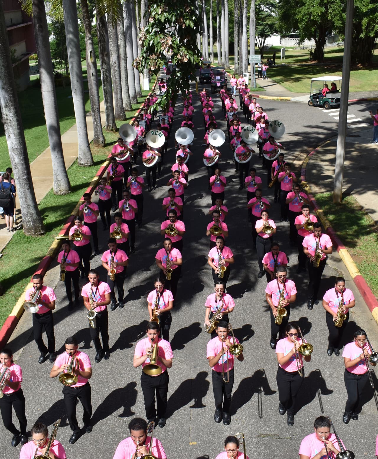 Tras caminar por las calles del campus, encabezado por la Banda, las Abanderadas y los porristas del Colegio, un mar rosado llegó hasta la Antigua Pista Atlética de la institución para componer el lazo rosado, emblemático de aquellas que enfrentan la condición.