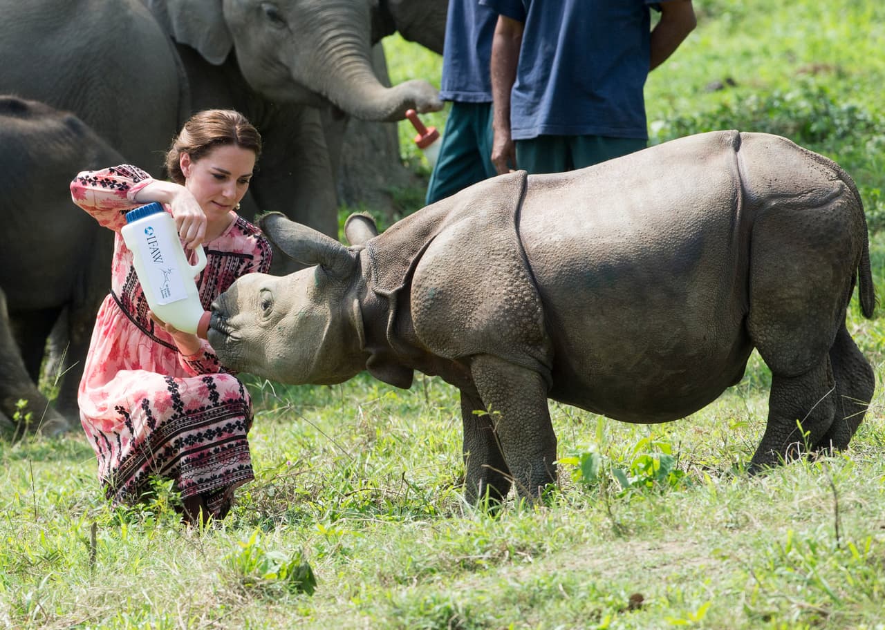 Con todo el cuidado del mundo, se acercó a la criatura.