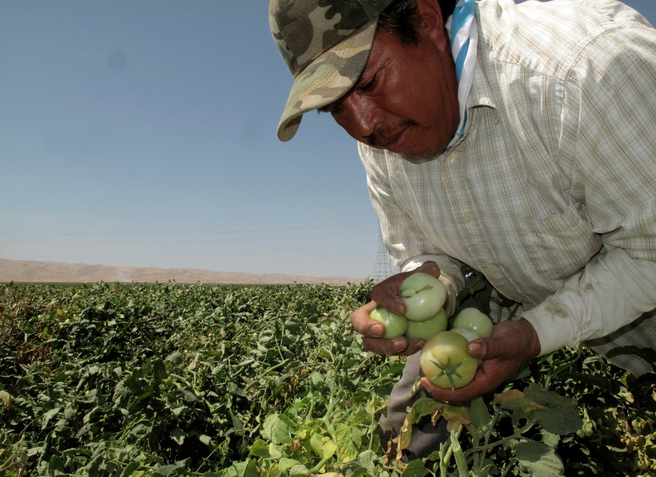 A quién afecta el decreto de Trump que suspende la inmigración durante 60 días