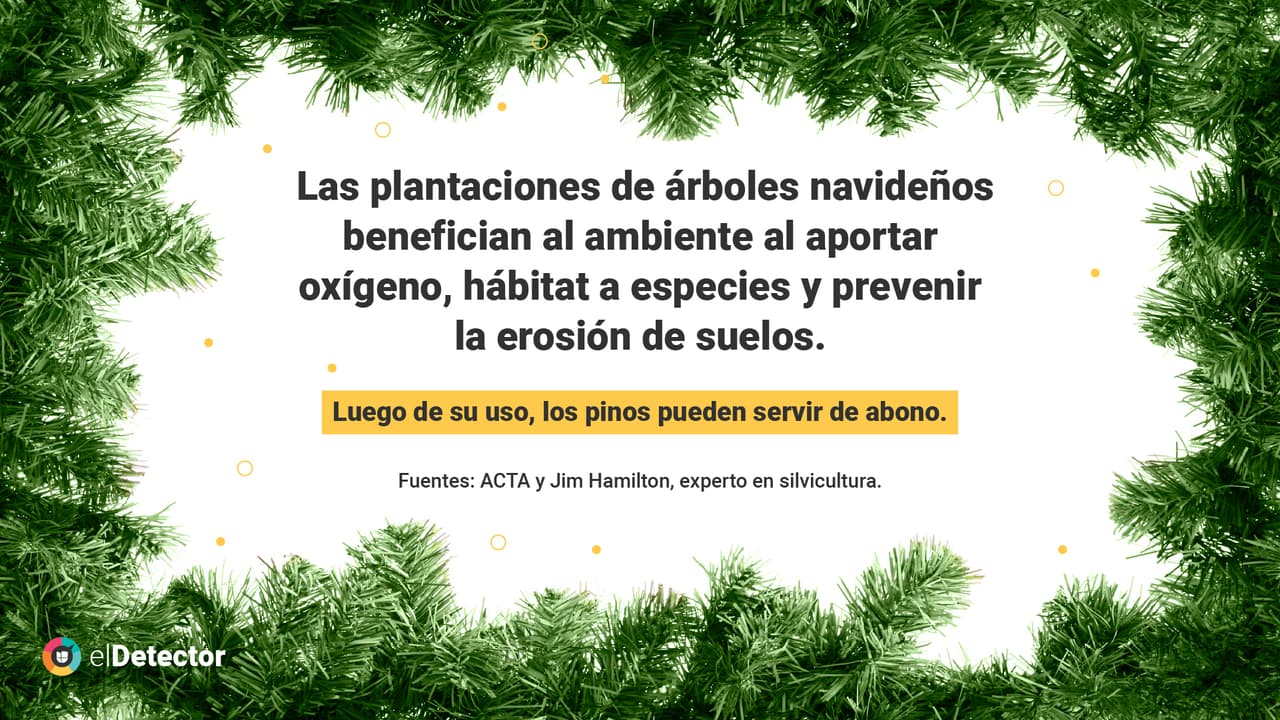 <a href="https://www.univision.com/noticias/bosques-deforestan-pinos-navidad-falso" target="_blank">Lee la verificación completa de <b>elDetector</b> aquí</a>.