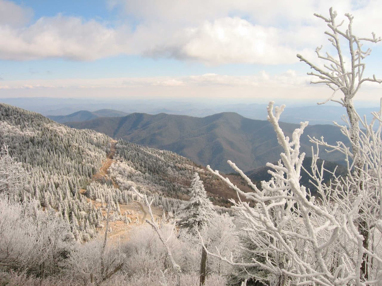 <b><a href="https://www.ncparks.gov/mount-mitchell-state-park/home" target="_blank">Mount Mitchell:</a></b> El pico más alto al este del Mississippi está abierto todo el año (si el clima lo permite). En los días de nieve, aún puedes atravesar la pasarela y maravillarte con el paisaje congelado, a veces cubierto de nieve, desde el mirador.