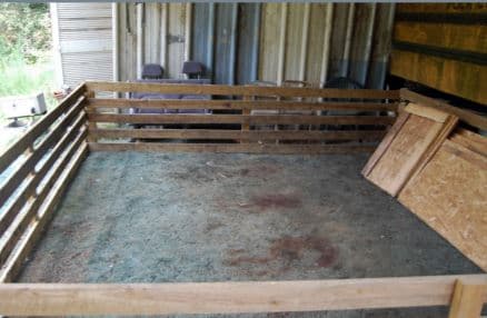 The Human Society advierte que esta actividad delictiva atrae a pandilleros, criminales y miembros de carteles. Estos últimos también han mostrado interés en las apuestas en peleas de gallos.