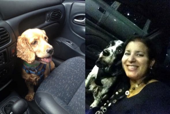 Mélbeg Expósito también tiene dos hijas preciosas, pero ella dice que sus perros son también sus hijos.Al llevarlos al veterinario o a la peluquería, ella no se identifica como la dueña sino como la mamá de Dominó y Pancho.