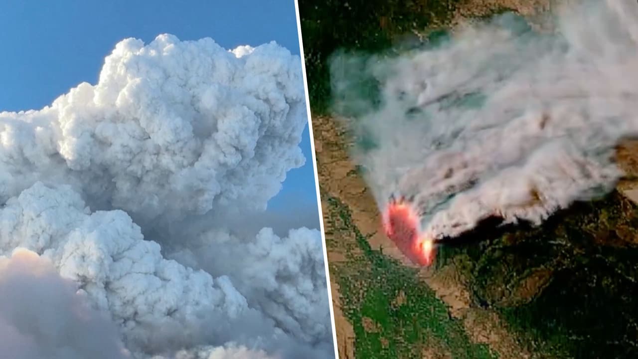 Testigos alegan que 
<b>el miércoles 24 de julio</b>, a eso de las 3:00 de la tarde, vieron a un hombre identificado como 
<b>Ronnie Dean Stout II</b>, lanzando por un barranco un auto que estaba ardiendo en fuego.