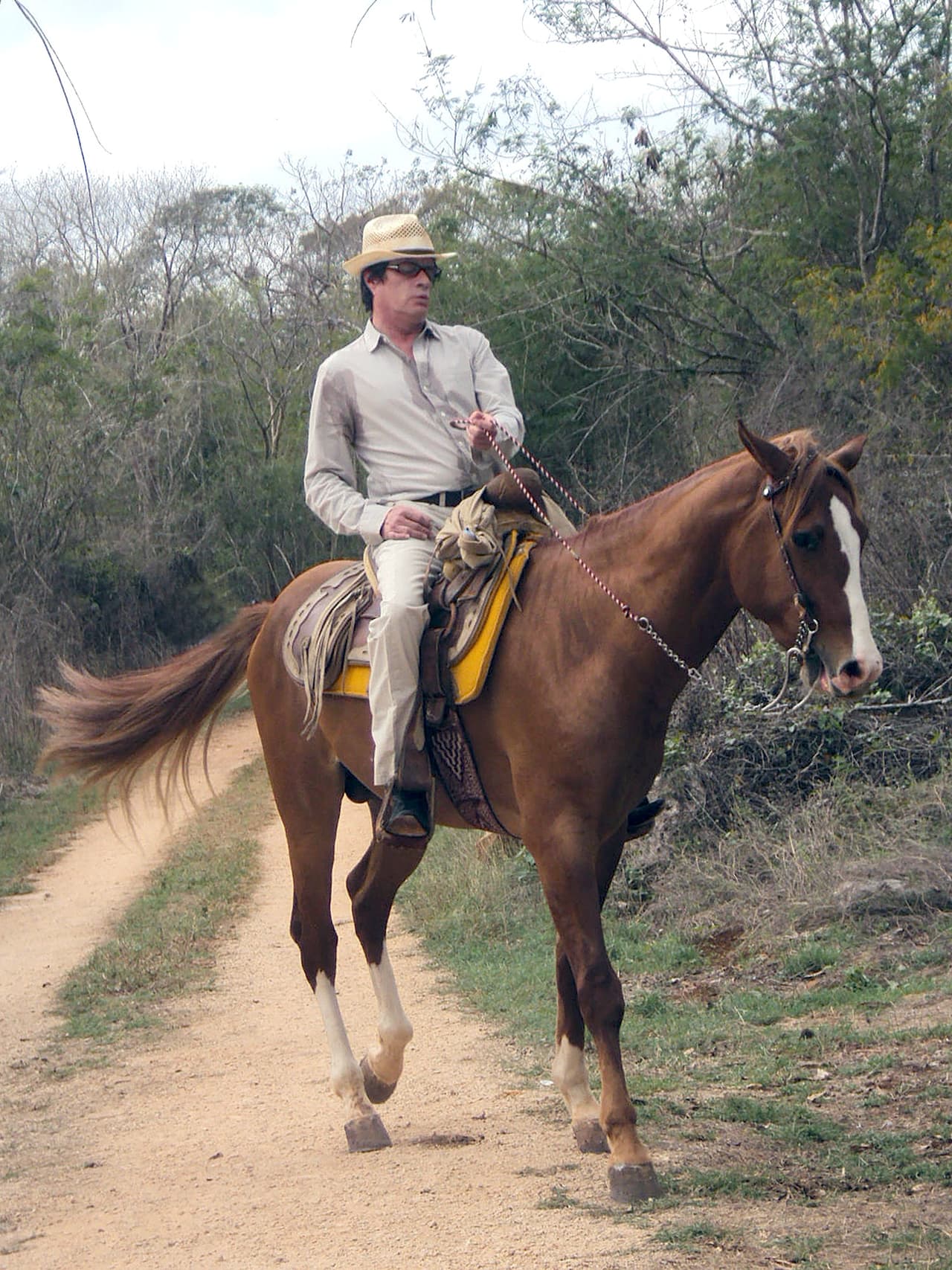 No hay duda que
<b><a href="http://www.univision.com/temas/alejandro-camacho">Alejandro Camacho</a></b> no se dejará vencer frente al cáncer de piel y seguirá regalándonos su talento tal cual lo ha hecho desde hace ya más de 3 décadas. ¿Qué personaje es el que más recuerdas de este primer actor?