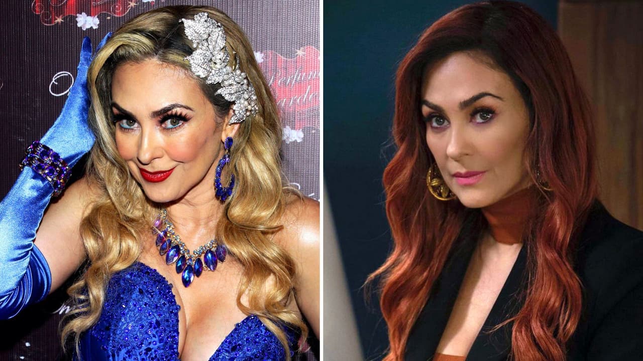 Aracely Arámbula cumple 50 años: revela que su festejo será “muy especial y diferente”