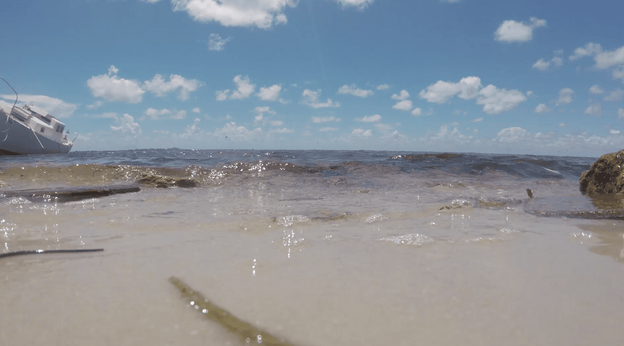 'Water' es una obra de la artista venezolana Victoria Araujo, quien usó un dron para registrar la basura en el océano.