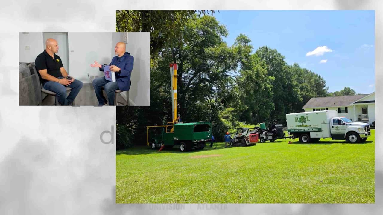 EN VIVO: A grandes alturas y con mucho riesgo: así trabaja un arborista