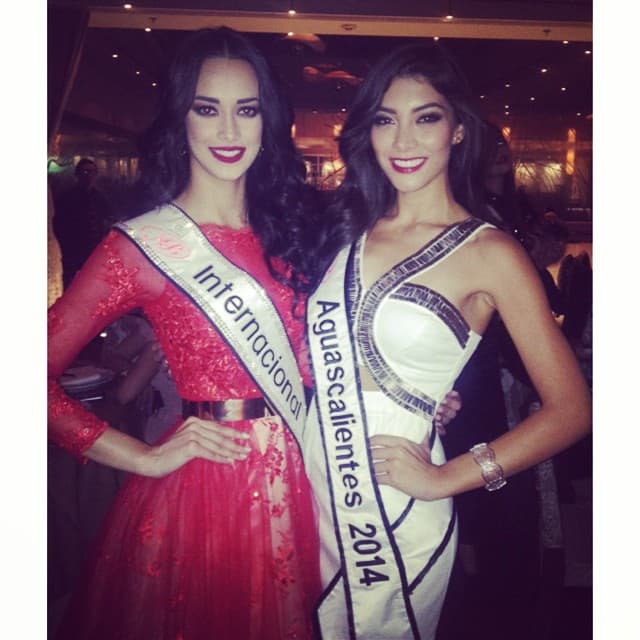 ¿Crees que ganará?