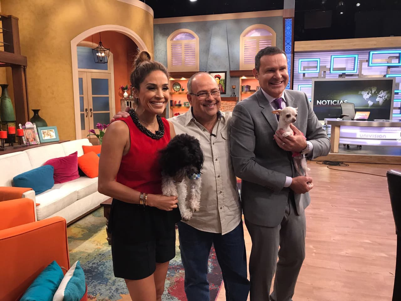 El experto Andres Beheit visitó Despierta América con consejos para brindarle cariño a nuestras mascotas.