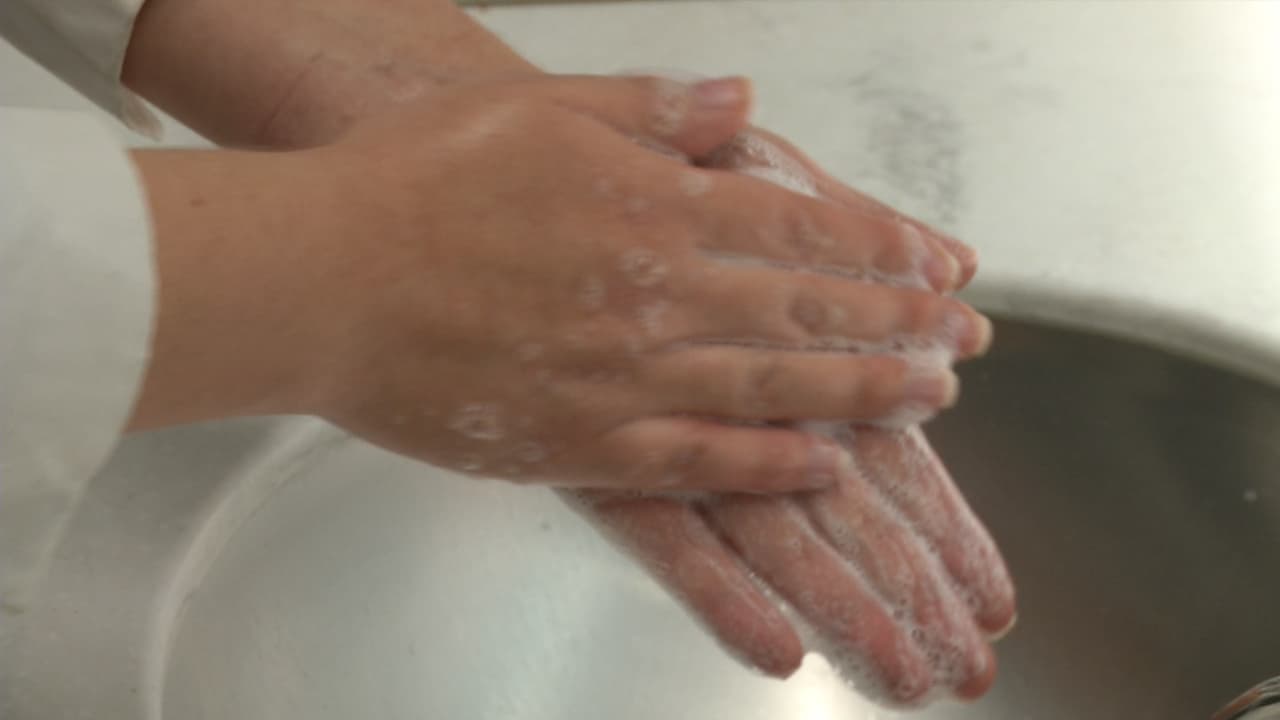 Medidas tan básicas como evitar tocarse la cara o lavarse periódicamente las manos, pueden marcar la diferencia.
<br>