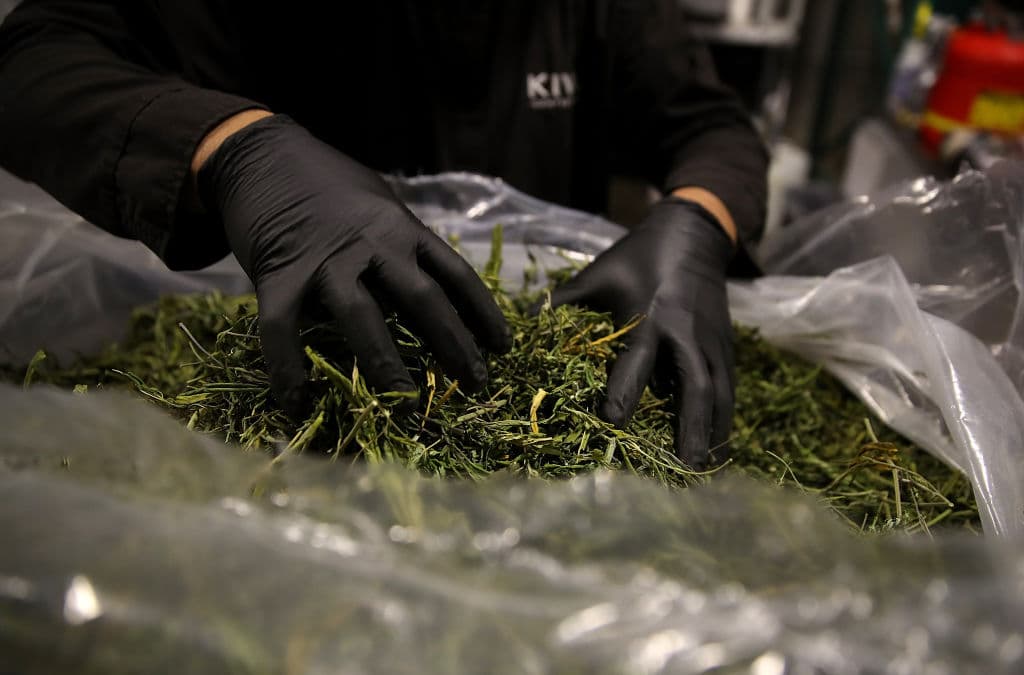 Detienen a la novia por ofrecer comida con marihuana en el banquete de boda: ¿qué pasa si comes cannabis?