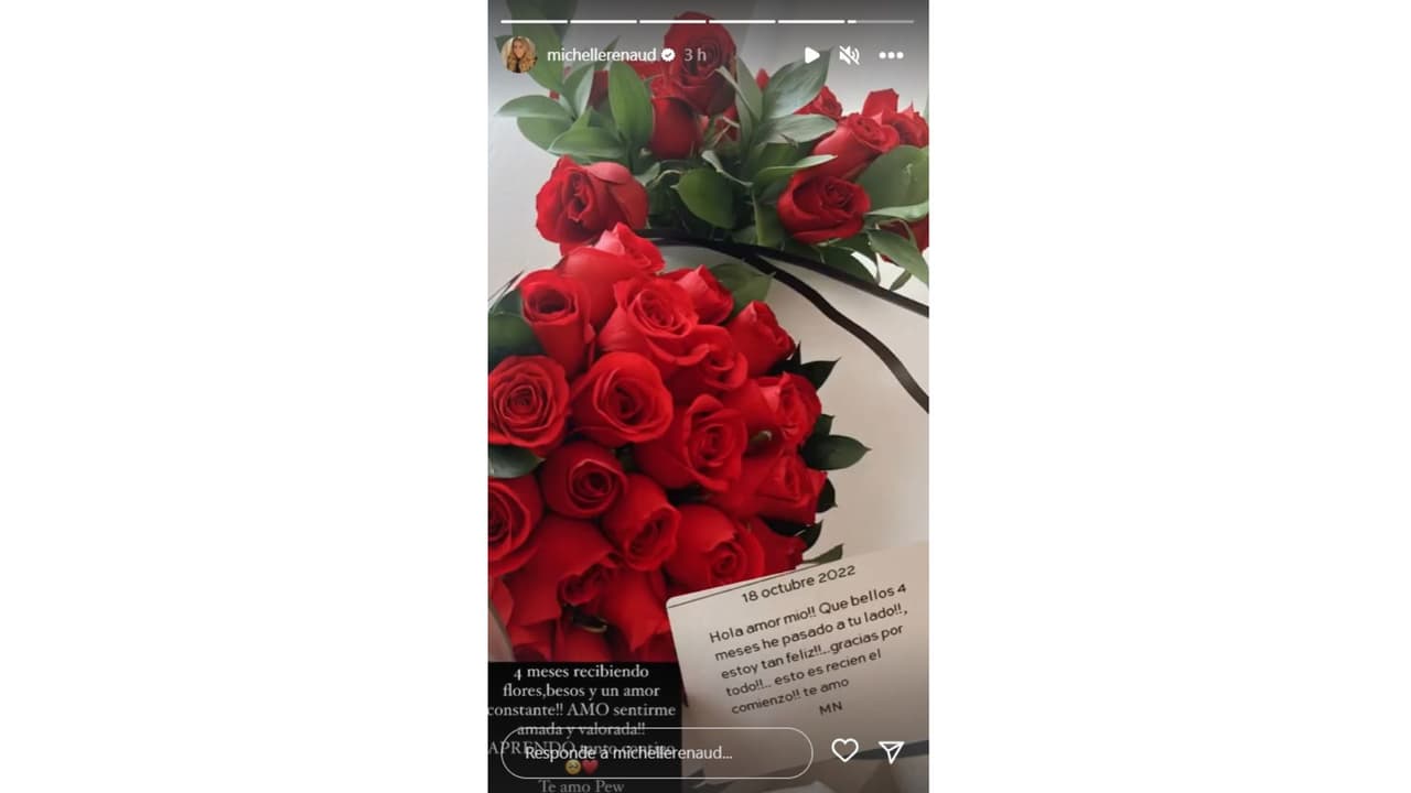 Michelle Renaud presume regalo por parte de Matías Novoa.