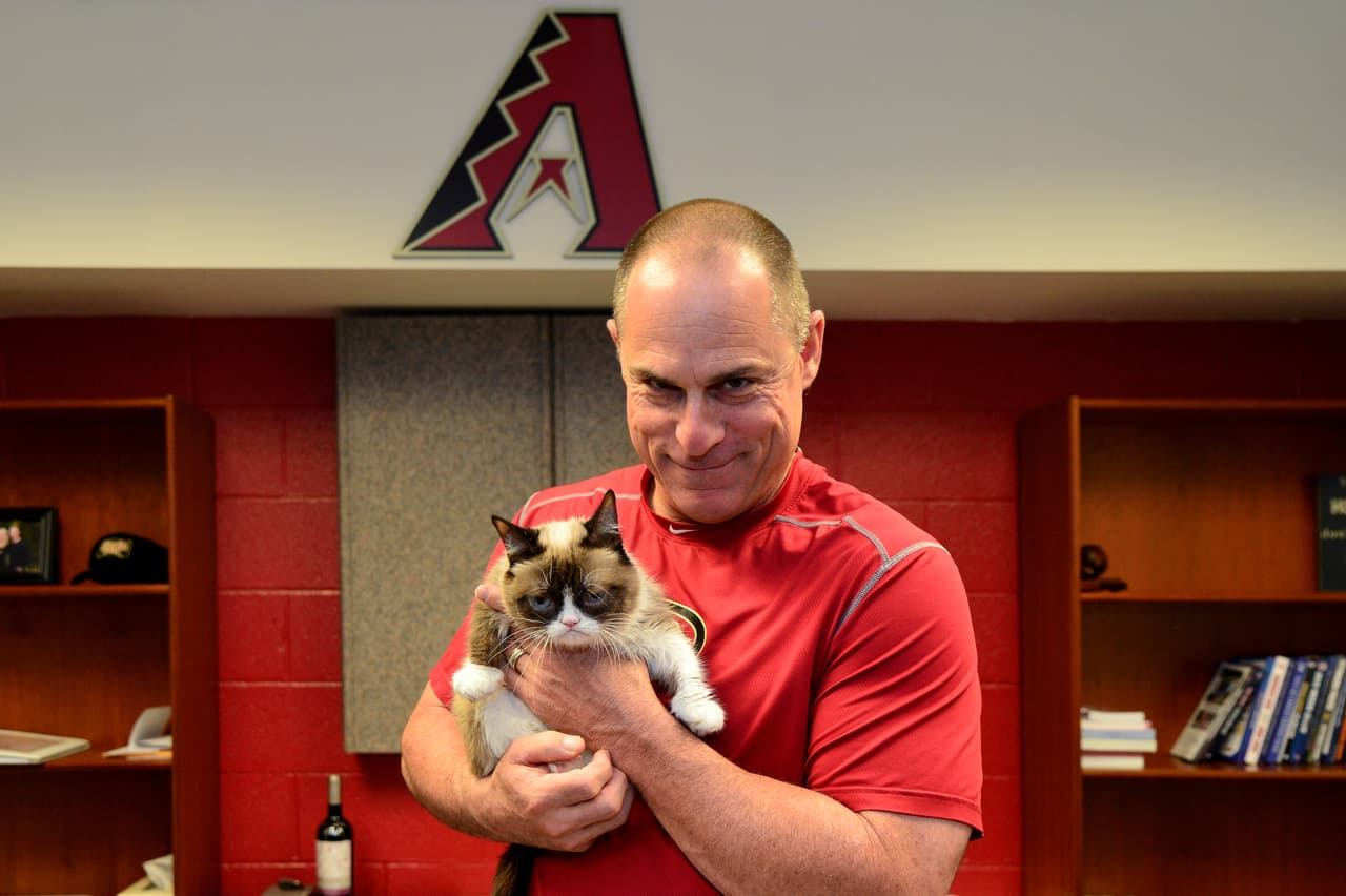 A finales de este año, será el primer gato para conseguir su propia figura de cera en el Madame Tussauds .