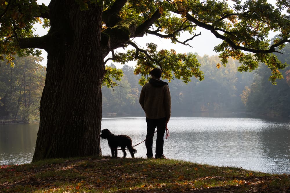 <h3 class="cms-H3-H3">Predicciones de junio 2022 para Acuario</h3>
<br>No te preocupes por el tránsito retrógrado de Saturno por Acuario, al contrario, esto será más bien un periodo de reflexión, de conocimiento, de evaluar lo que uno ha estado haciendo.
<br>