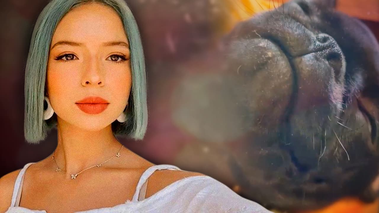 Ángela Aguilar presume que a su mascota más 'bebé', nada le quita el sueño (y aquí está la evidencia)