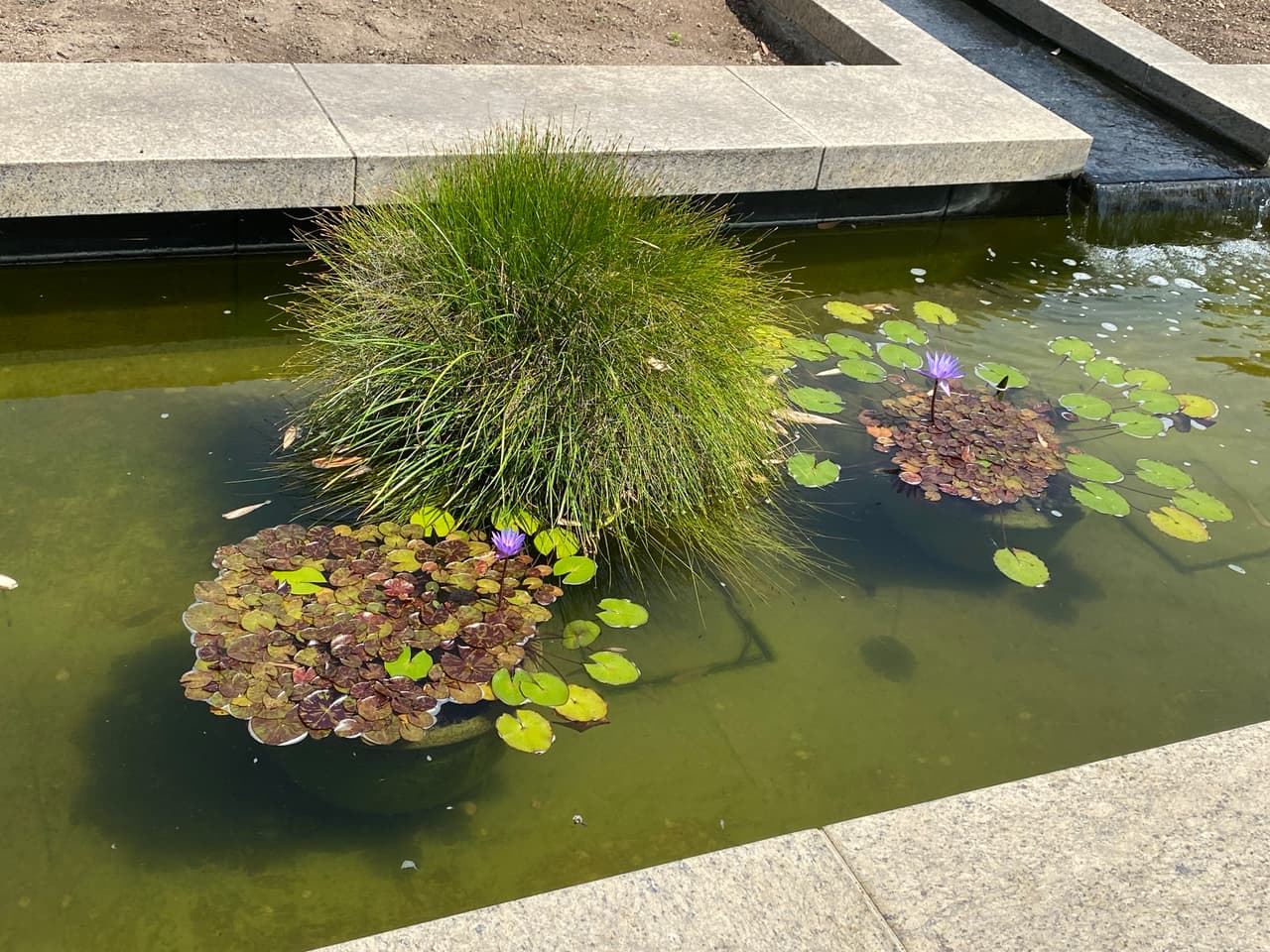 Al llegar, recibirás un mapa para que puedas orientarte durante el recorrido de los diferentes jardines.
<br>