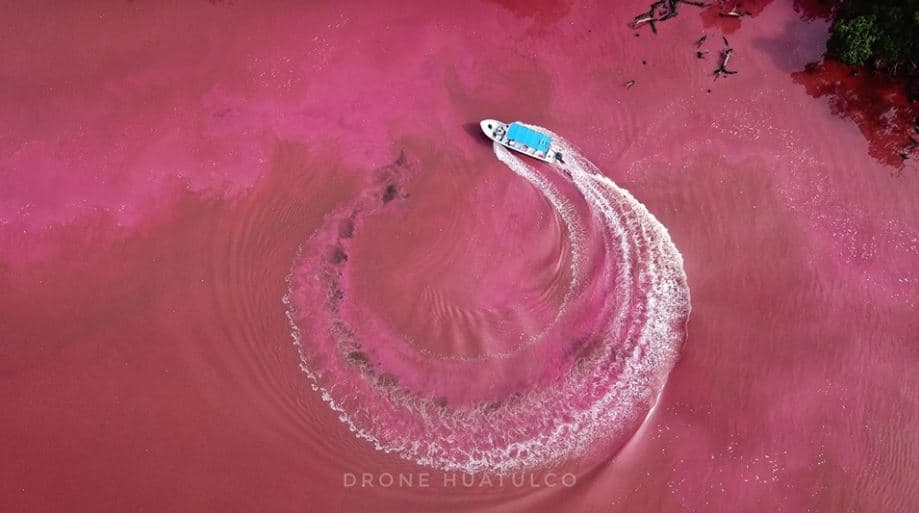 Laguna cambia a un color rosa intenso y sorprende a habitantes y turistas en el sur de México