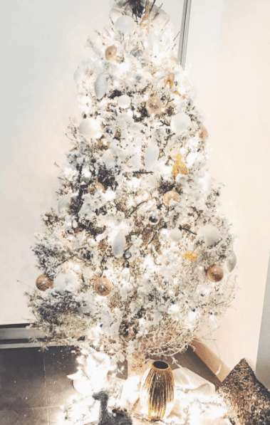 Danna Paola estuvo hasta la 1:36 de la madrugada preparando su arbolito. ¿Qué les parece?