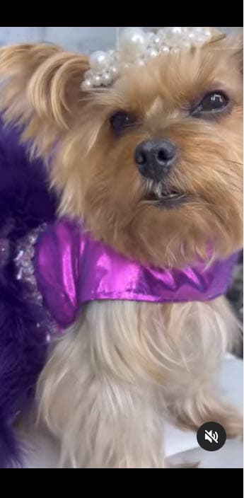 "No les importa tu posición económica ni tu profesión: es amor puro, incondicional y verdadero", dijo.
<br>