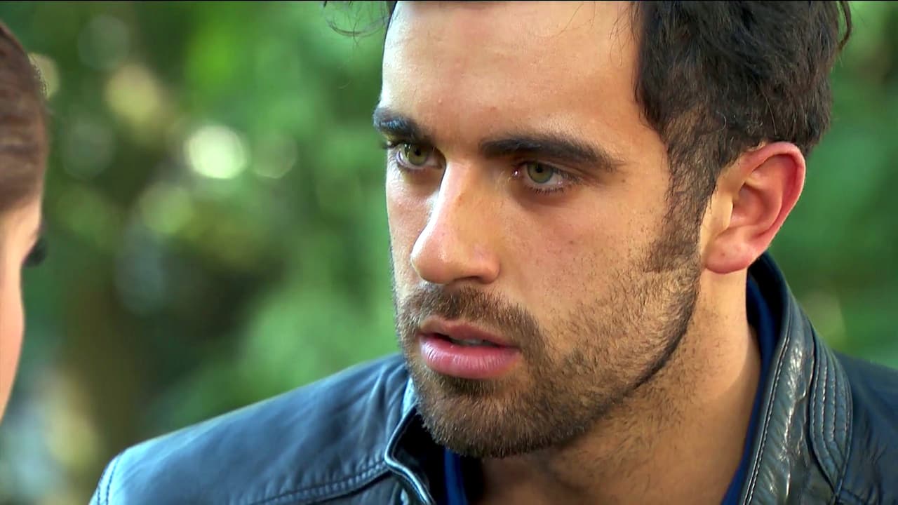 Ya se enteró que sigues con los planes de tu boda con Joshua.