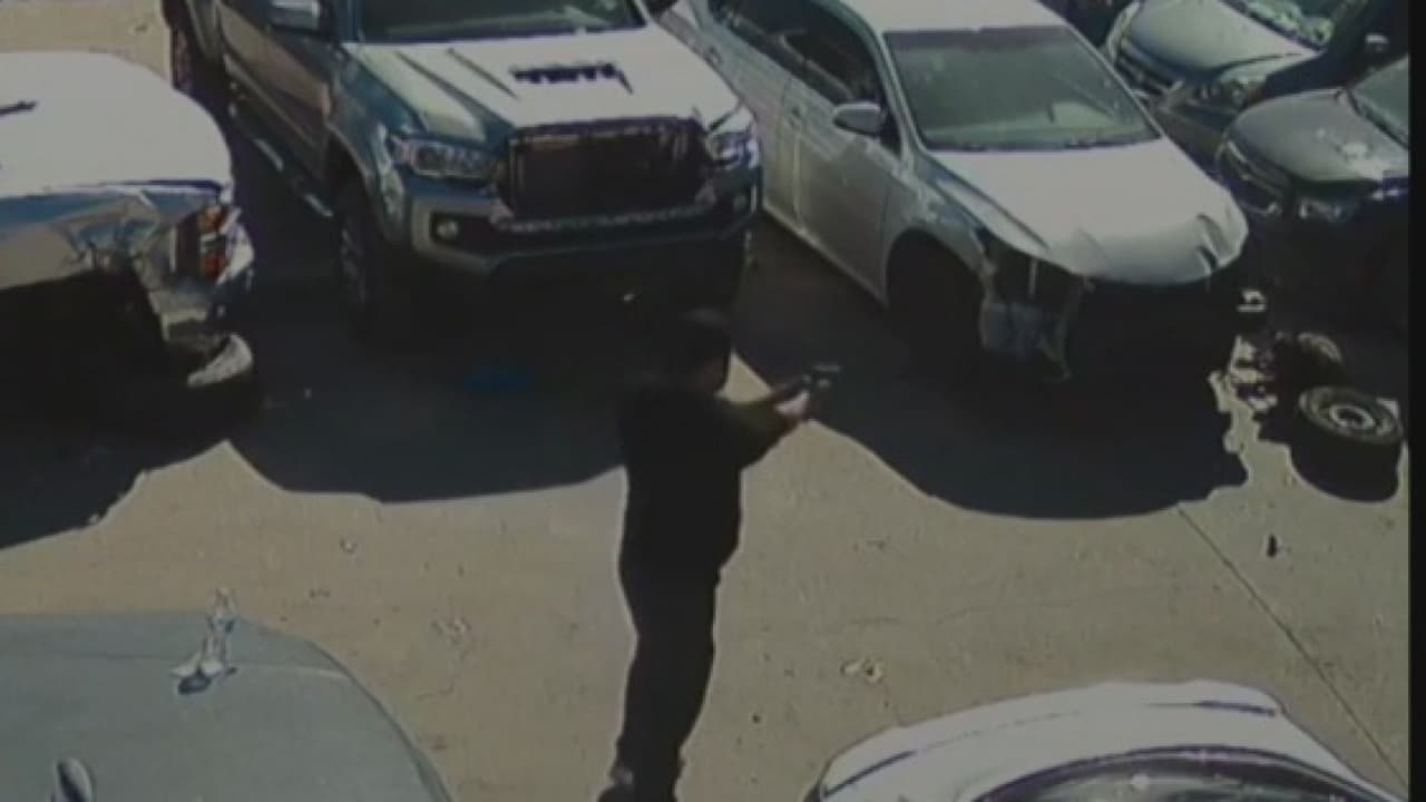 Perro “con siete vidas” sobrevive a cuatro balazos 