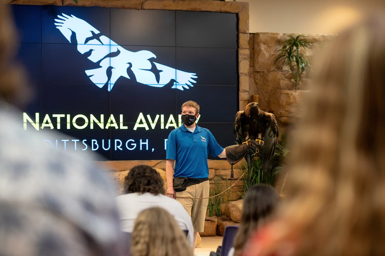 <b>VE A THE NATIONAL AVIARY</b>: Ve a ver algunos pájaros. El lugar tiene salas dedicadas a varios sistemas ecológicos, como la jungla, la marisma y el desierto. Tienen pingüinos, águilas calvas, búhos de madriguera y muchos más.