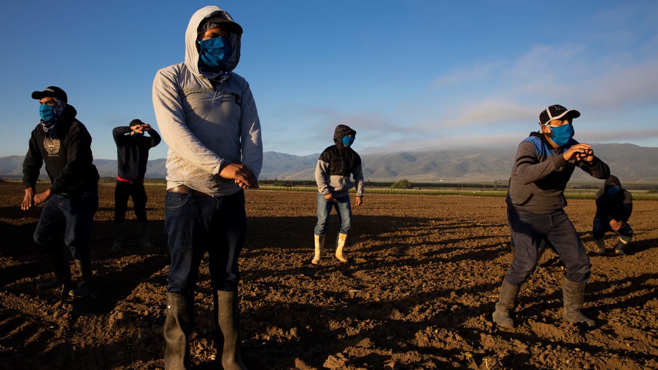 Trabajadores agrícolas indocumentados podrán recibir ayuda legal gratuita