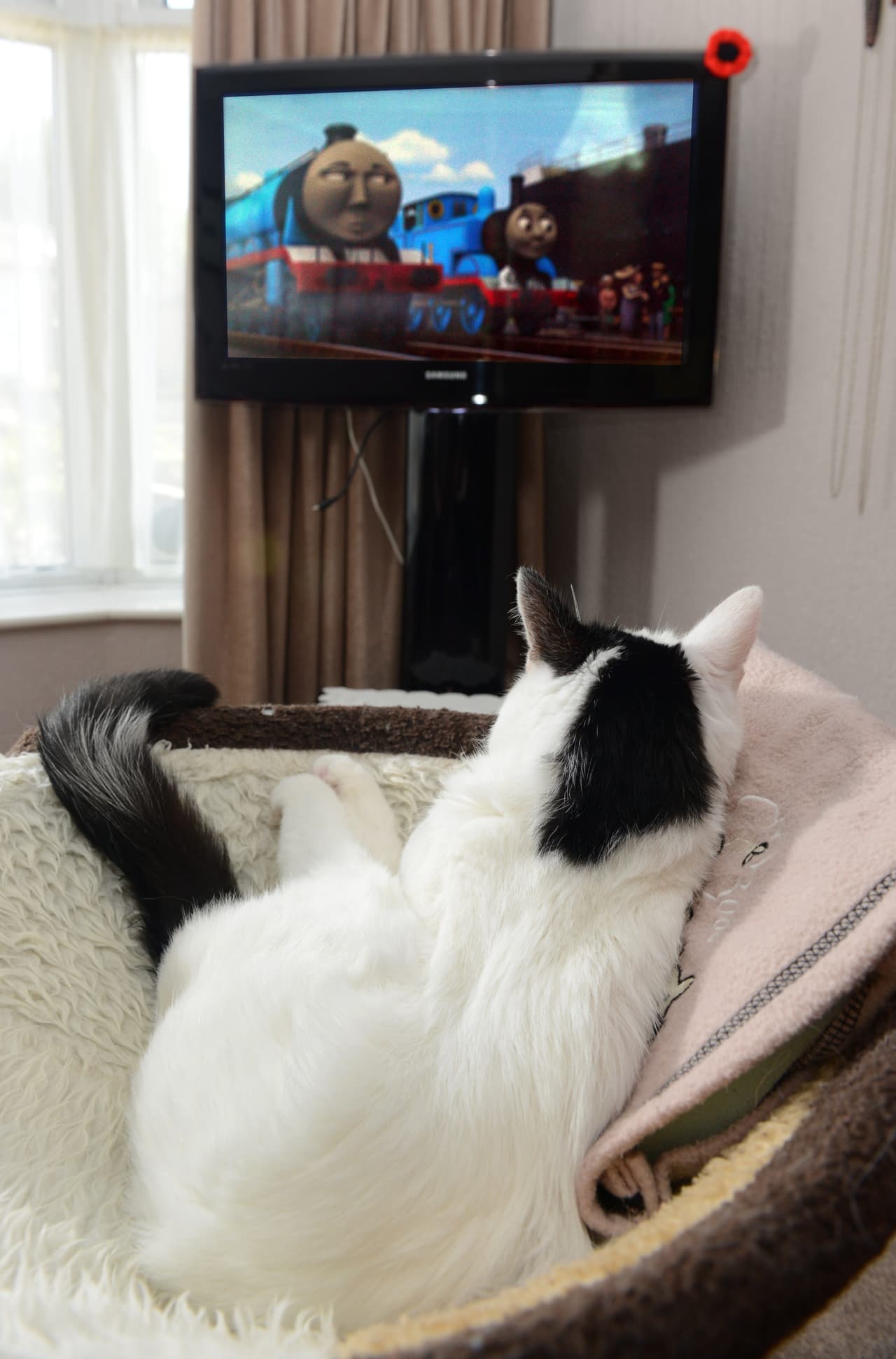 Ahí prácticamente es un miembro más del staff.