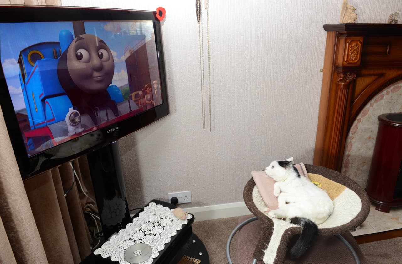 Su favorita es ‘Thomas, The Tank Engine’.