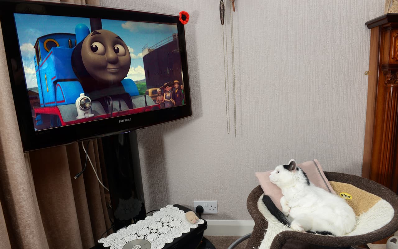 Antes de irse a la estación de trenes, Toby mira caricaturas.