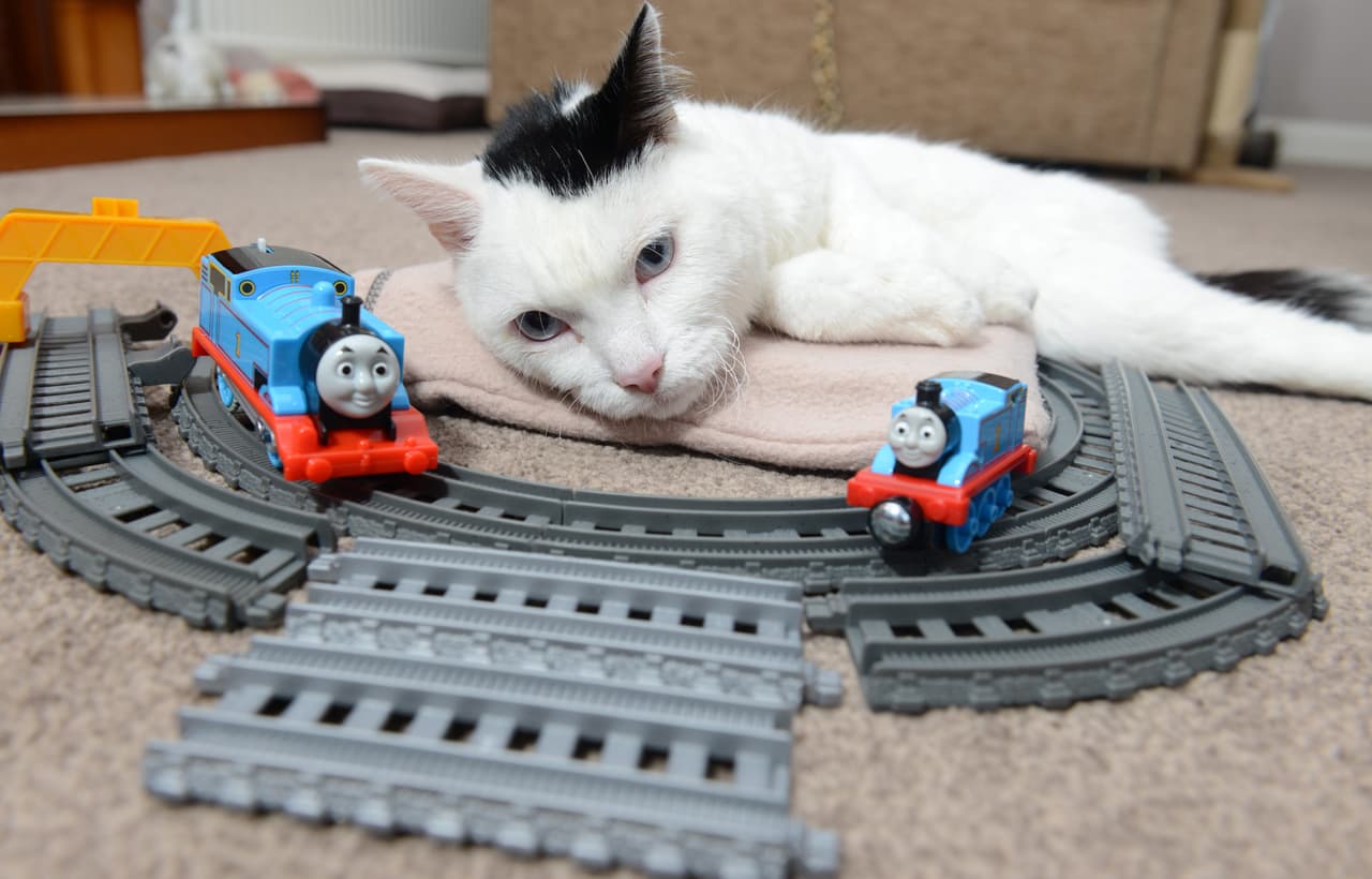 ¡Aunque con más pelo y bigotes más largos!