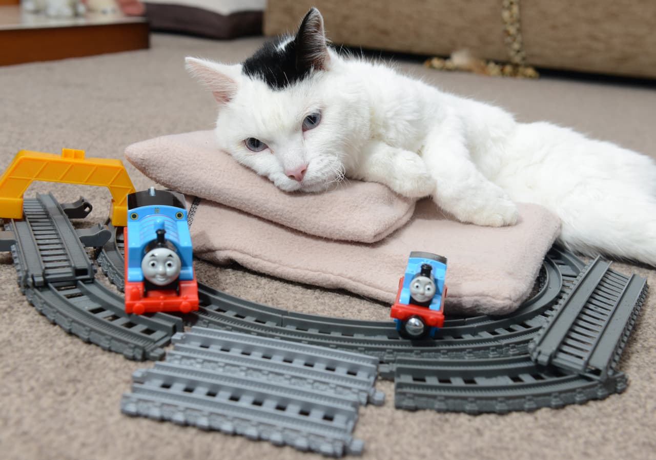 Después de disfrutar de un episodio, él se dirige a la estación de trenes Lancaster.