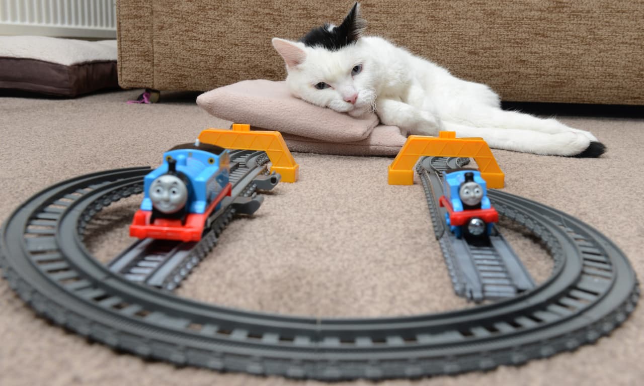 Le agrada observar a los trenes llegar y partir.