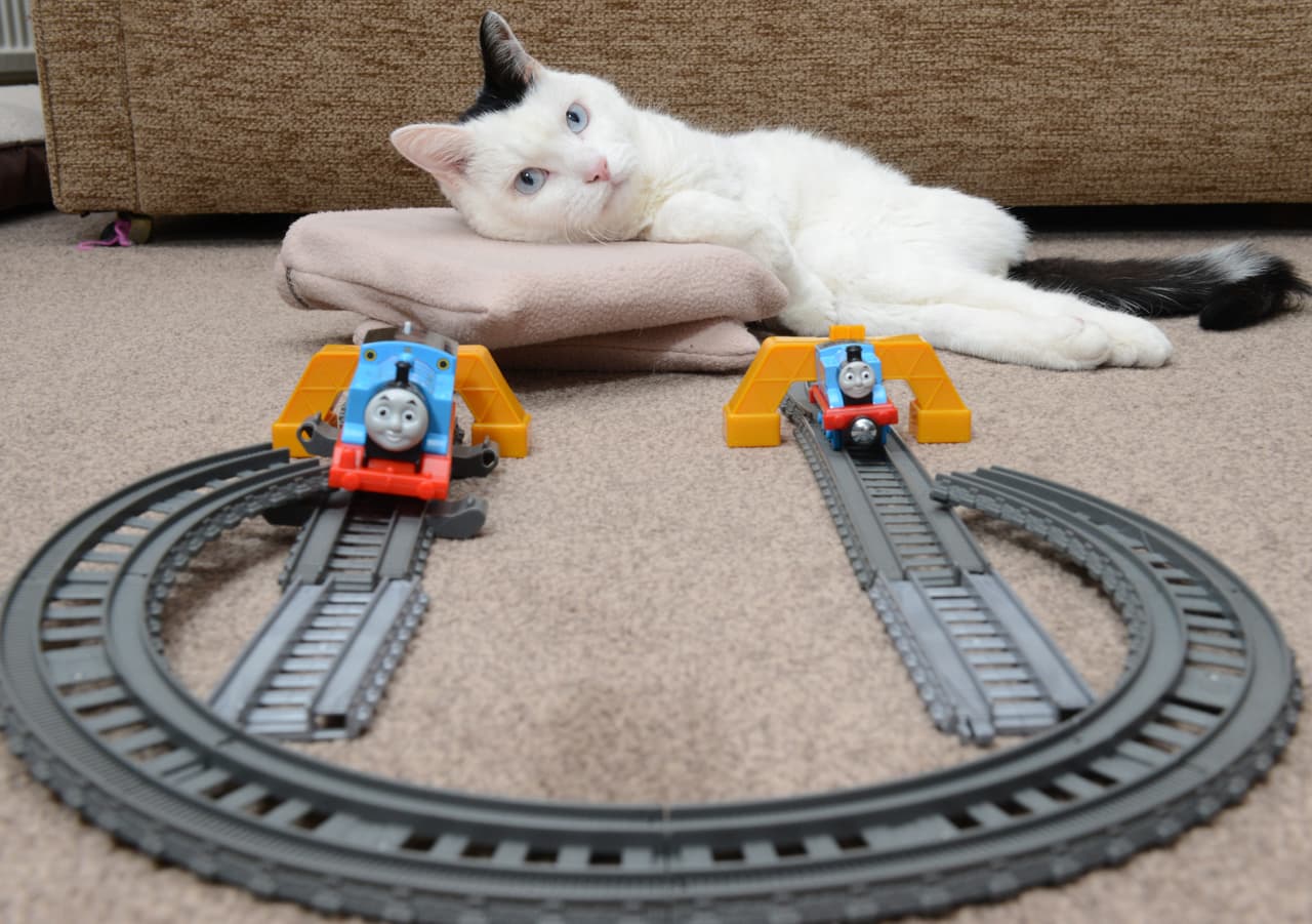 No hay nada que le guste más que estar en la plataforma.