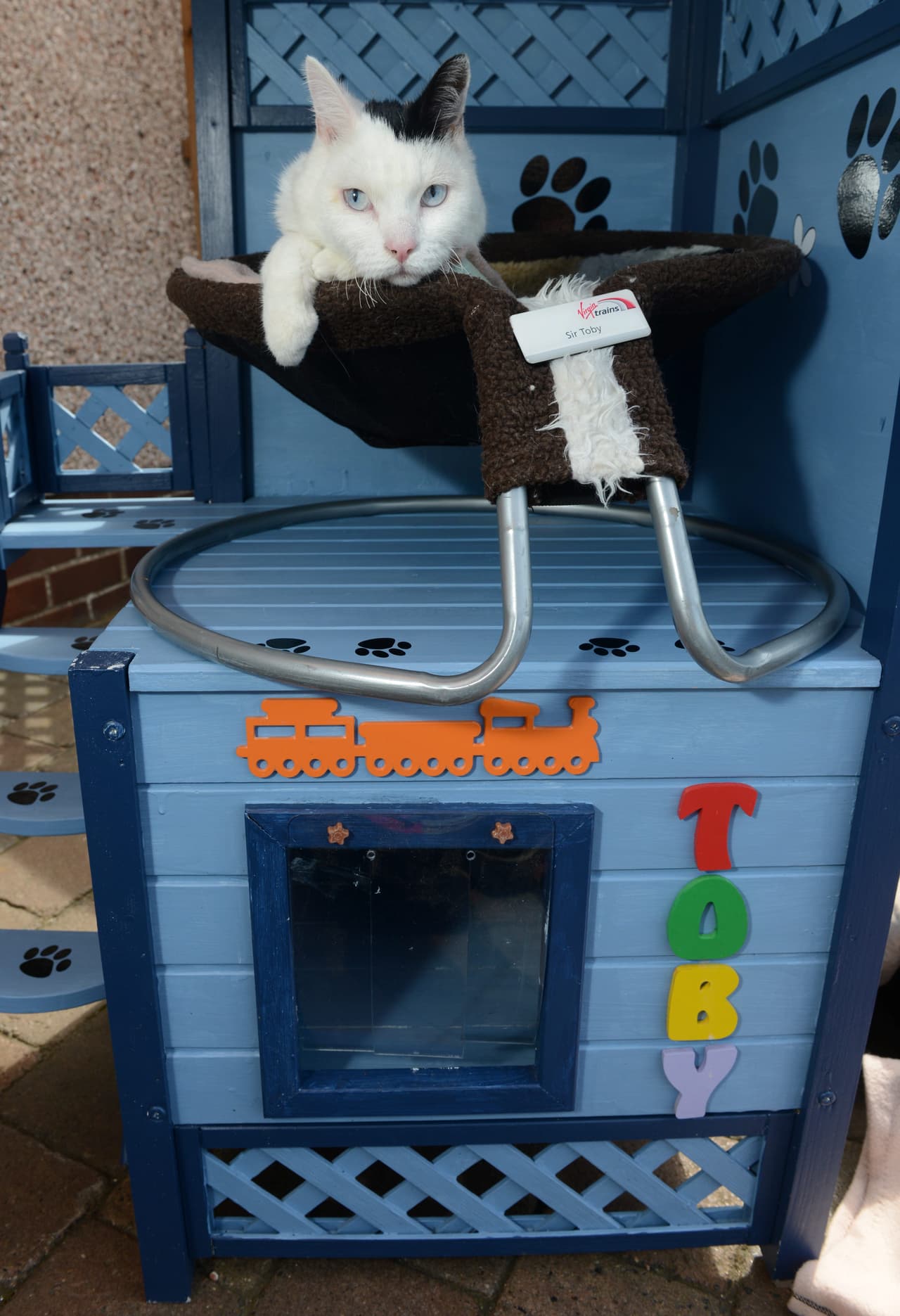 ¡Pues permite que todos los pasajeros que bajan le hagan cariños y mimos!