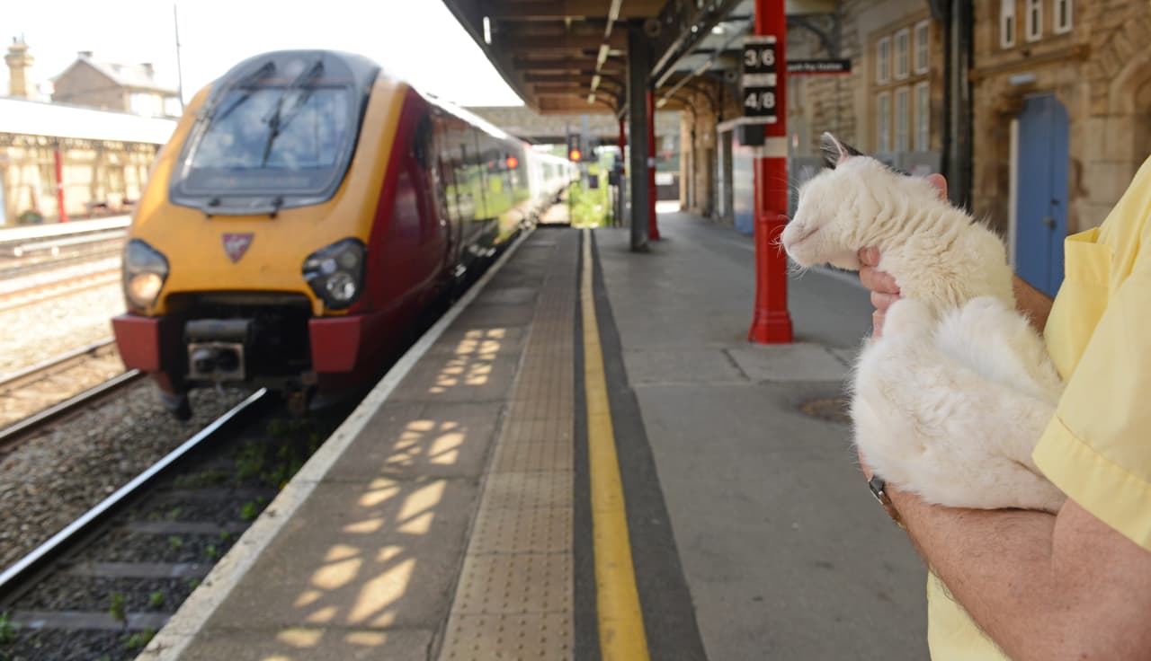 Además, aprovecha la multitud para sentirse más querido.