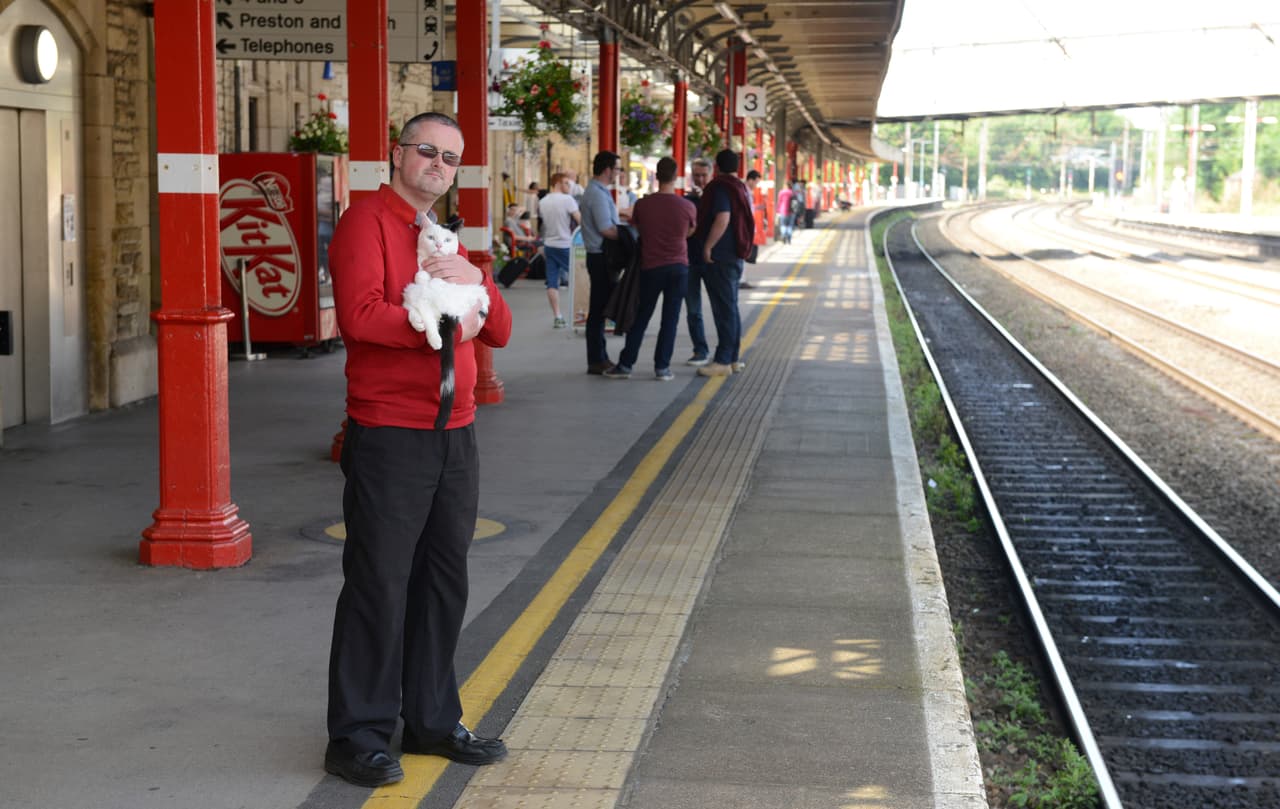 También es conocido como Toby.