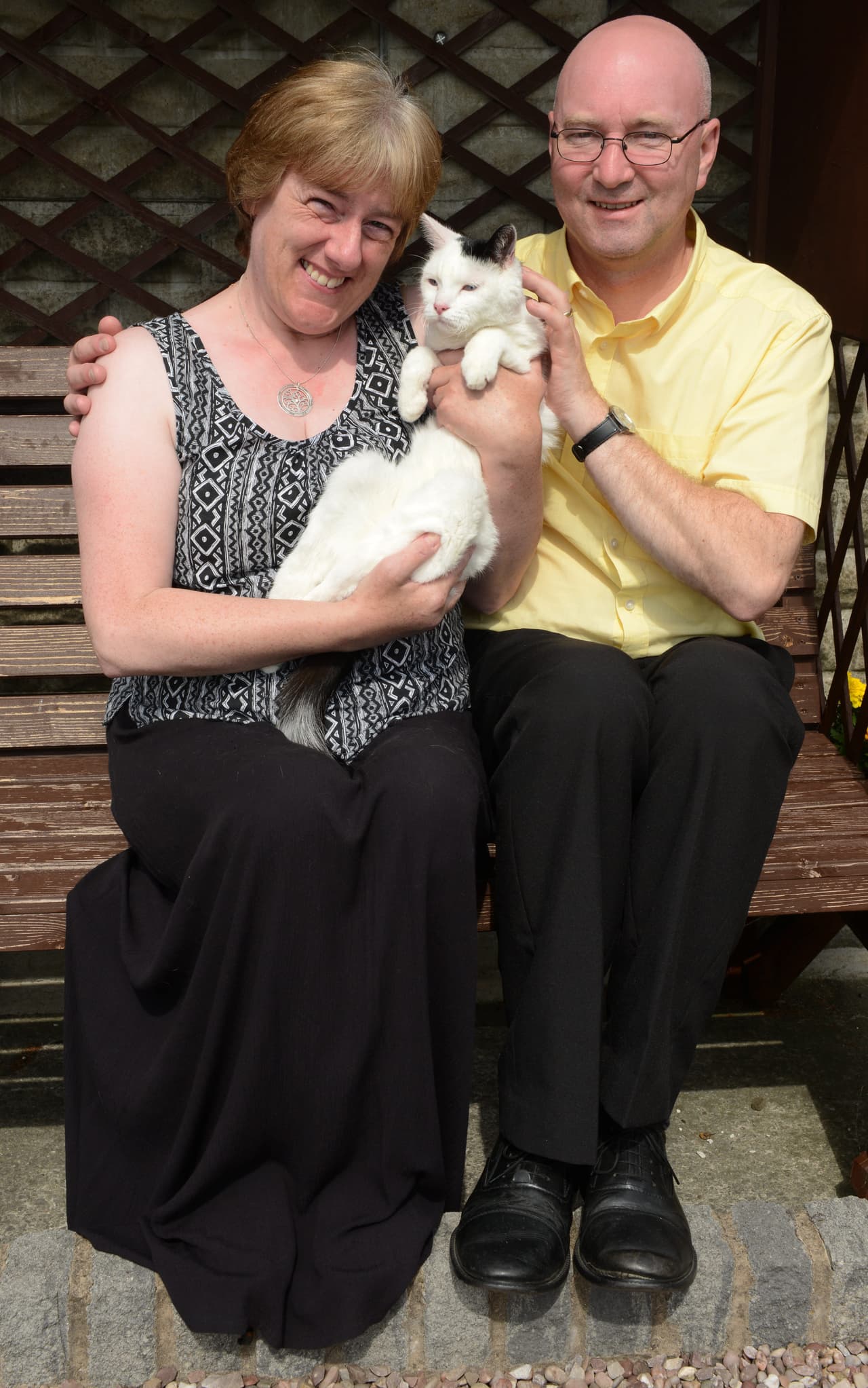 El minino es cuadraplégico, pero eso no le impide disfrutar su alrededor.