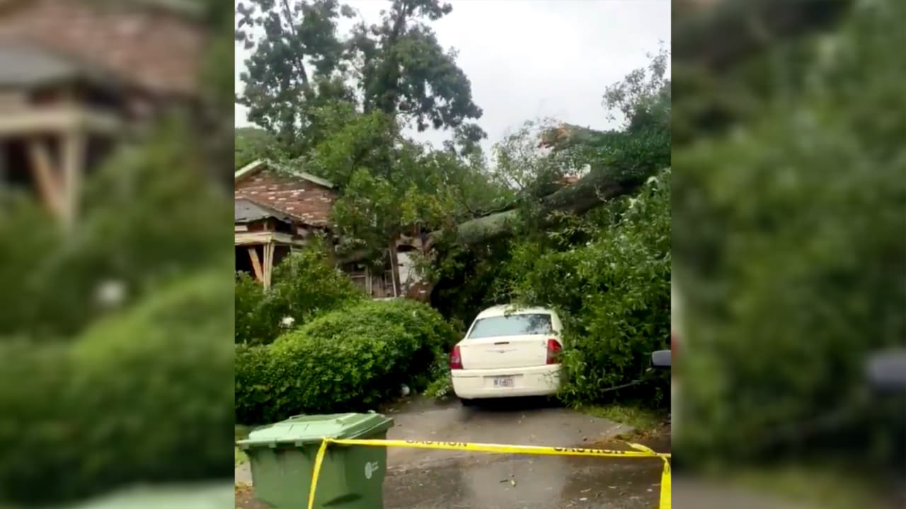 Confirman el primer fallecido en Atlanta por Sally: un árbol cae sobre una casa y mata a una persona
