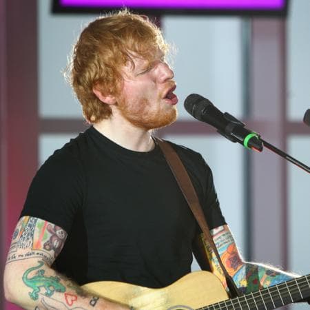 Sheeran, de 28 años, comentó en el podcast 
<b><a href="https://www.behindthemedal.co.uk/">‘Behind the medal’</a></b> que nunca le había preocupado su apariencia hasta que comenzaron a atacarlo y llamarlo “gordo”.