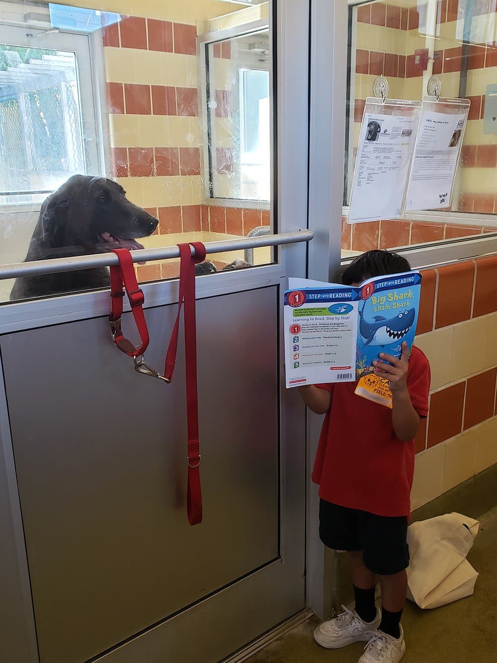 El 25 de abril, los estudiantes de la primaria de Cable Elementary en San Antonio, Texas, visitaron el San Antonio Humane Society, una organización pro animales sin fines de lucro, para que los niños le leyeran libros a los animales que esperan ser adoptados.