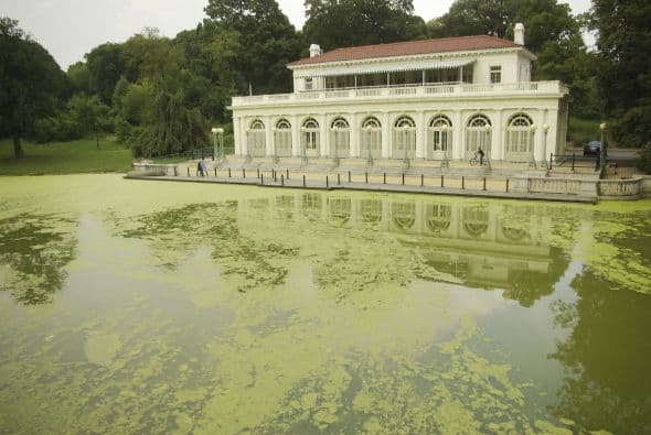 Audubon Center, Brooklyn (NY). En el corazón del ‘Prospect Park’ está este lugar para el descubrimiento activo de la naturaleza con la tecnología interactiva.