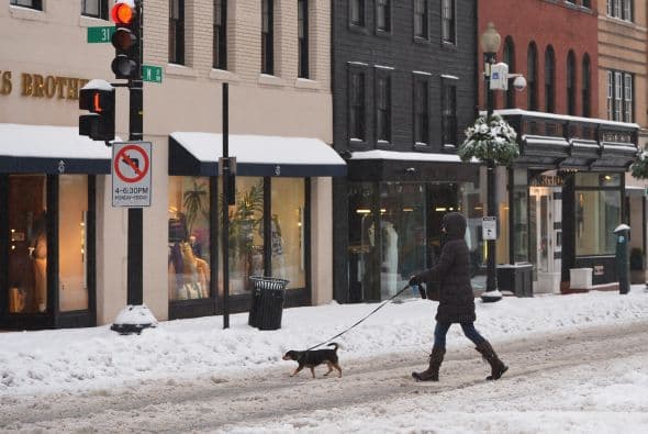 Un momento para las mascotas, a pesar del frío.