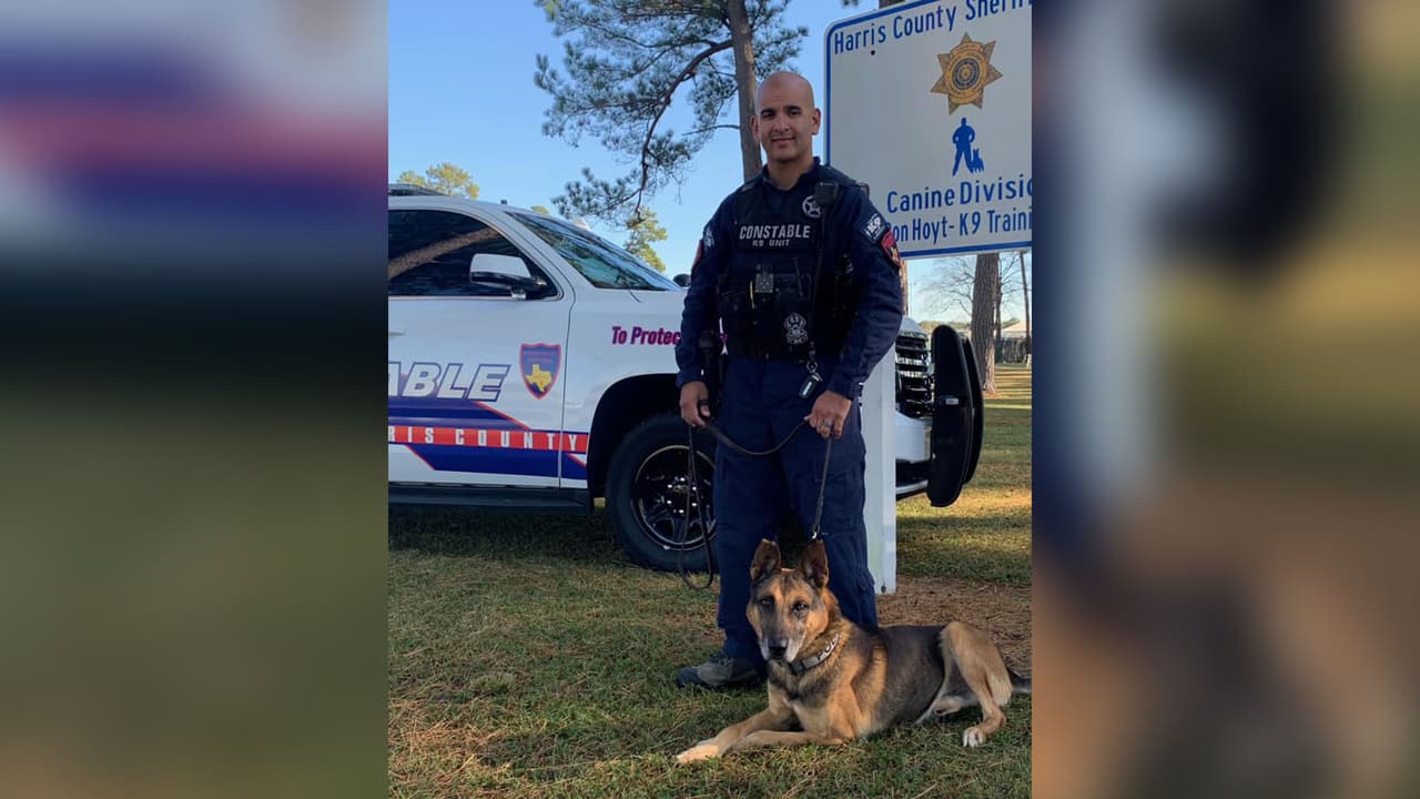 El oficial Ray Montalvo y K-9 "John" de la oficina del agente Mark Herman se graduaron luego de un intenso entrenamiento en la academia.